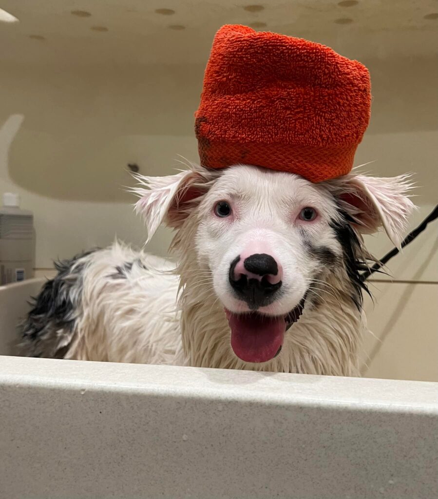 Spa & Bathing
