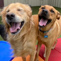 Daycare