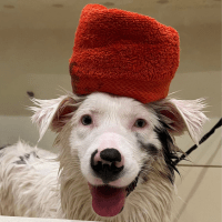 Spa Services